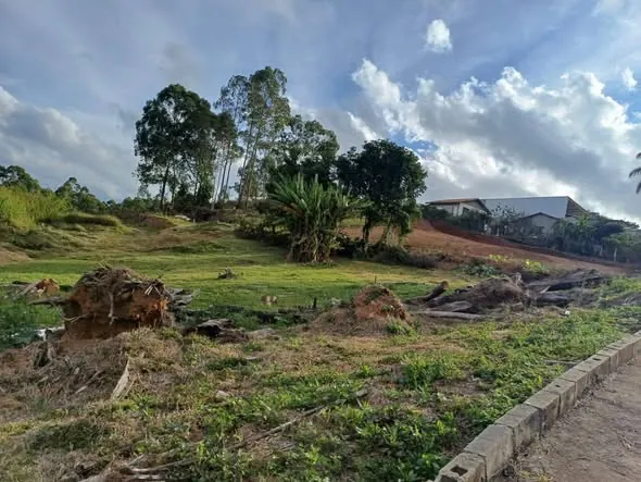 Vista do terreno no Jardim Filadélfia II Chácaras, junto à rua, com árvores e área aberta